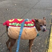 Amber Ramsey Fantini