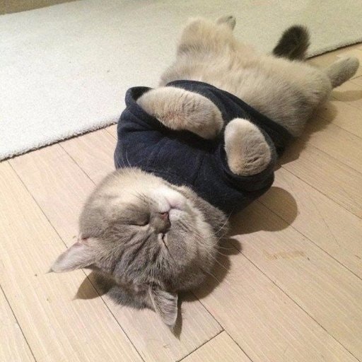 Adforest - Classified Wordpress Theme