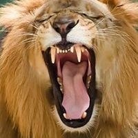 Michael Angelo Prahinog Larrubis