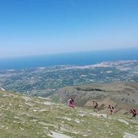 Nicole Coconnier-maugein