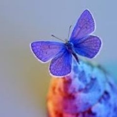 CarSpot Automotive Wordpress Theme