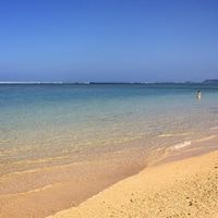 Colleen Gutschenritter