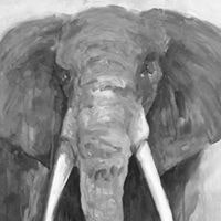 Carlo Alberto Amadei