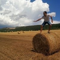 Augusto Belotto Perini