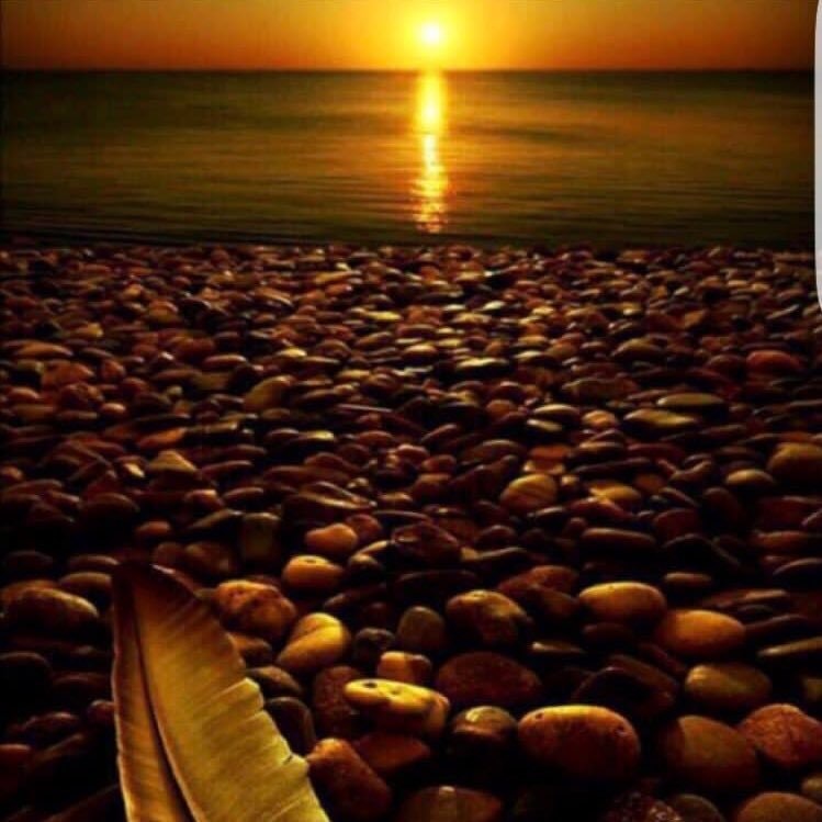 صالح الدوسي