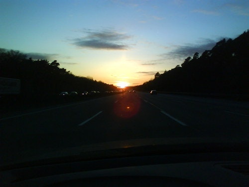 Florian Weixelbaumer