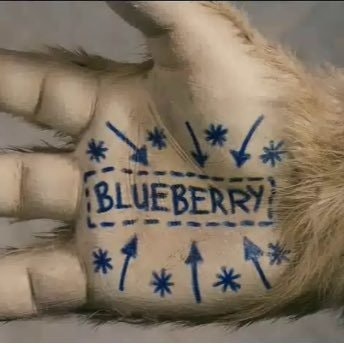 Roman Shestakov ⚡️