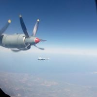 Игорь Лозовицкий