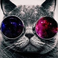 John Jason Pasaje Luzares