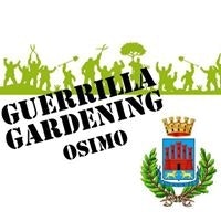 Felix TheGuerrillacat