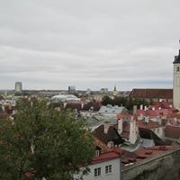 Михаил Поликарпов