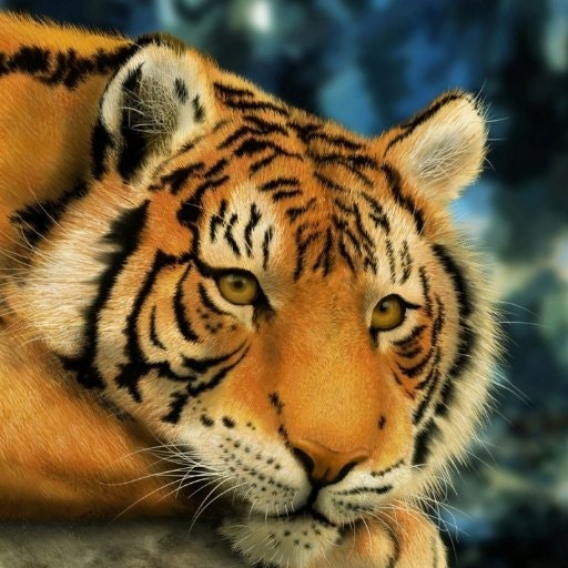 алексей мальцев