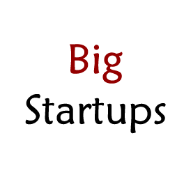 Bigstartups.in
