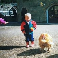 Orrin Cocchiola Ward