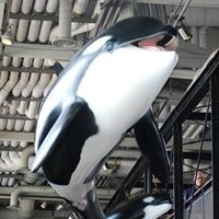 Michael Thathuvaswamy