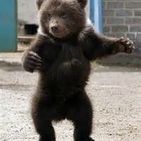 Lydia Plocharski Rohr