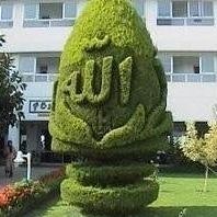 Orewole Hakeem Adeyemi