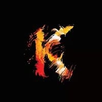 Muhammad Khairul Nisham