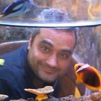 Luciano Cerqueira Torres