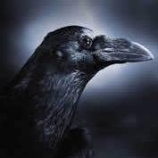 🐧☃️RavenEyz☃️🐧