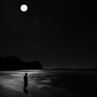 SEO chuyên sâu KingSEO