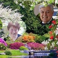 Marie-Thérèse Falconnet