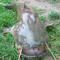 Виктор Белов