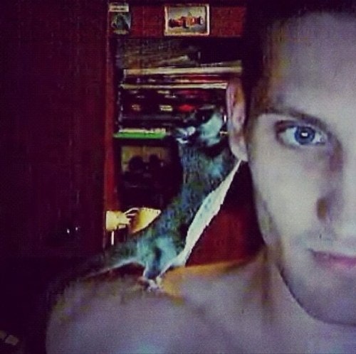 место_сдается