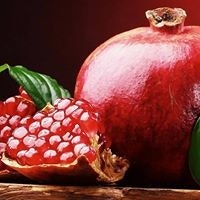 Mustapha Babatomiwa Alayande