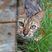 Noemí Losada Estrella