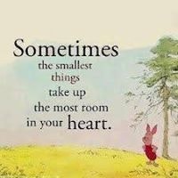 Naveen Kumar Sunkara