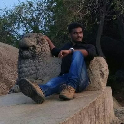 பல்லவ வர்மன்