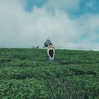 Trần Nguyễn Trà Giang