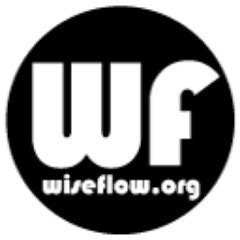 Wiseflow.org