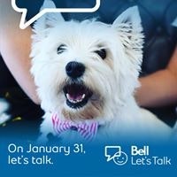 Lorraine Taylor-Downie