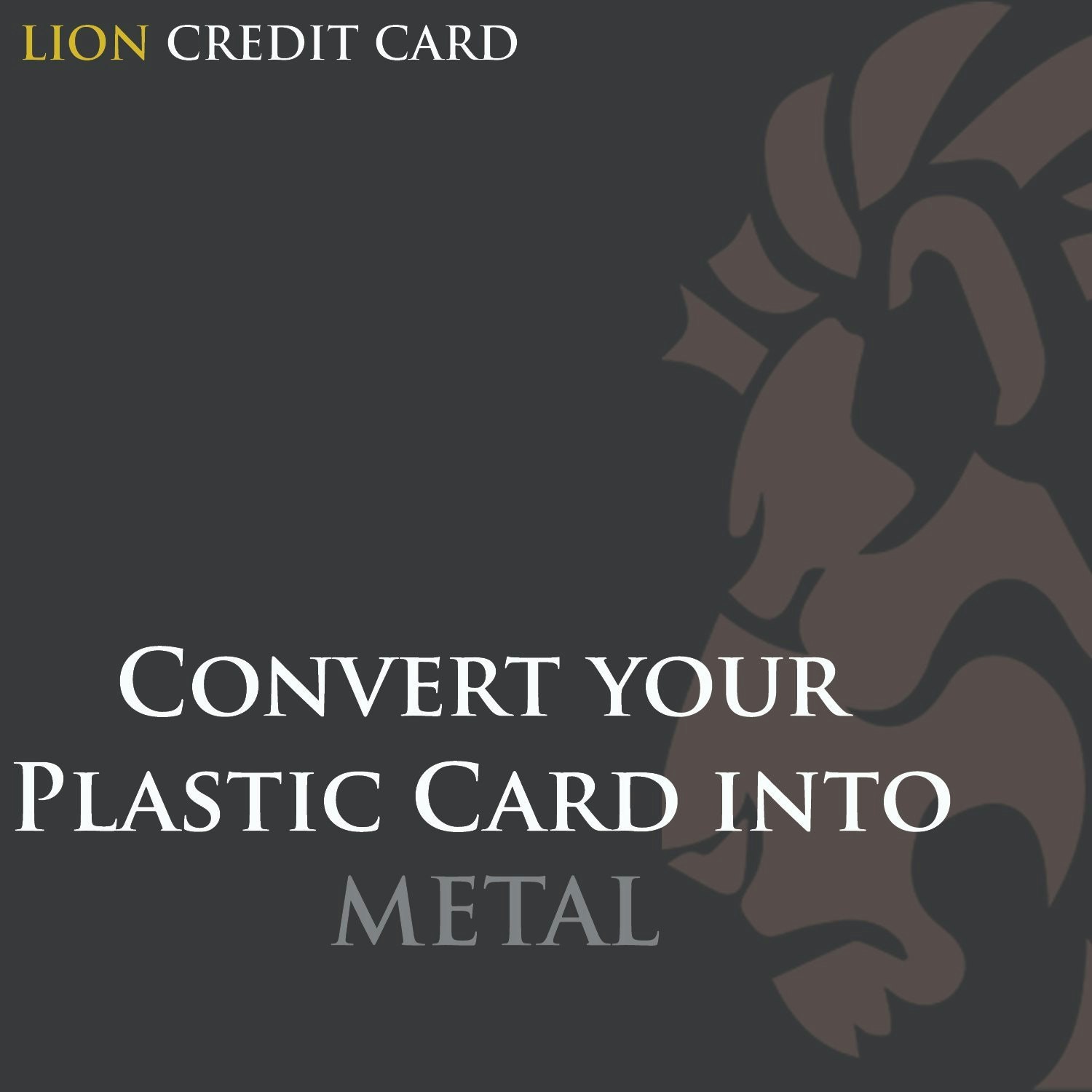 Lion Credit Card