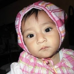 Archibold Plenderleith