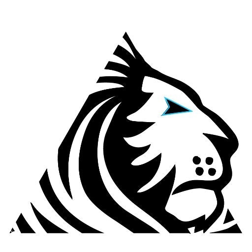 Pragmatic Product Leaders