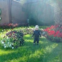 Şaban Nurcan Özkaynak