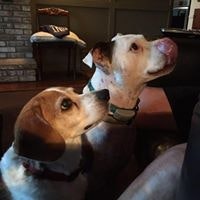 Pam Moore Kellenberger