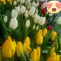 Диана Турбатова