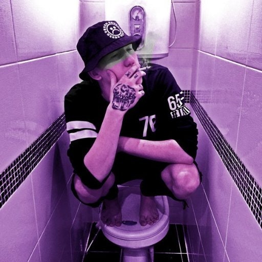 собака-поводырь