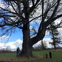 Courtney Oberholtzer