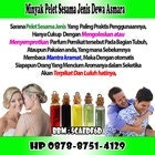 parfum pemikat gay