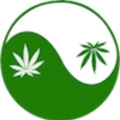 The Dà Má Collective