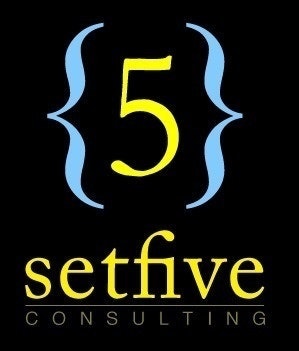 Setfive Consulting