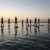 Athanasopoulos Stavros