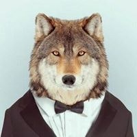 Hiếu Nguyễn Trung