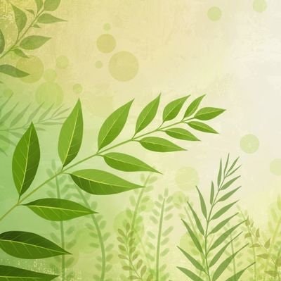 Shamnas Ibrahimkutty