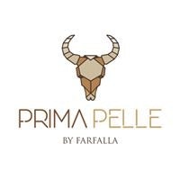 Francisco Vargas Careaga